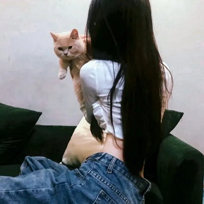 扑克王者